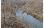 Property photo 9 - 98+/- Acres Offered in 6 Tracts or Combinations, Noble County, Indiana Farm